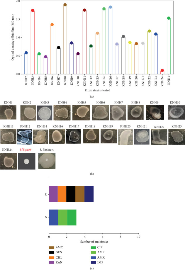 High Efficacy of Rose Bengal in Reducing the Pathogenicity of <i>Escherichia coli</i> Isolated From Diarrheal Infections.