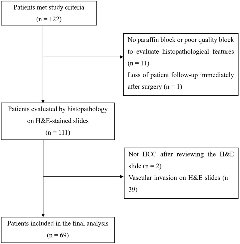 Early Recurrence of Hepatocellular Carcinoma in Patients without Microscopic Vascular Invasion: Clinicopathological Characteristics and Risk Factors.