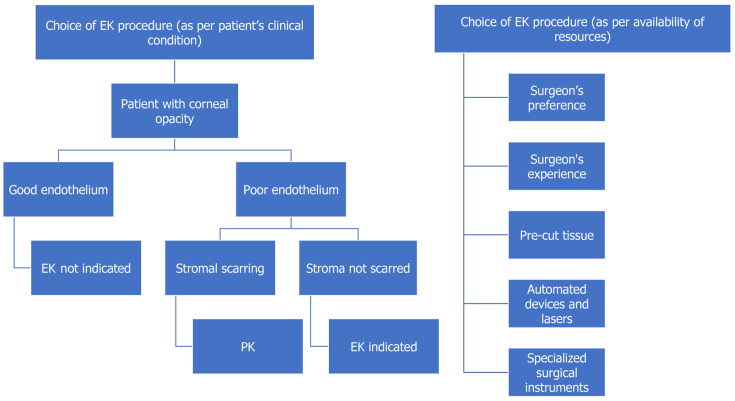 Current concepts and recent trends in endothelial keratoplasty.