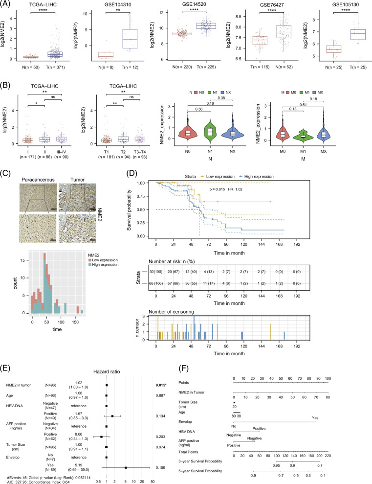 NME2 modulates HCC progression through 4EBP1 phosphorylation and autophagy regulation independent of mTOR.