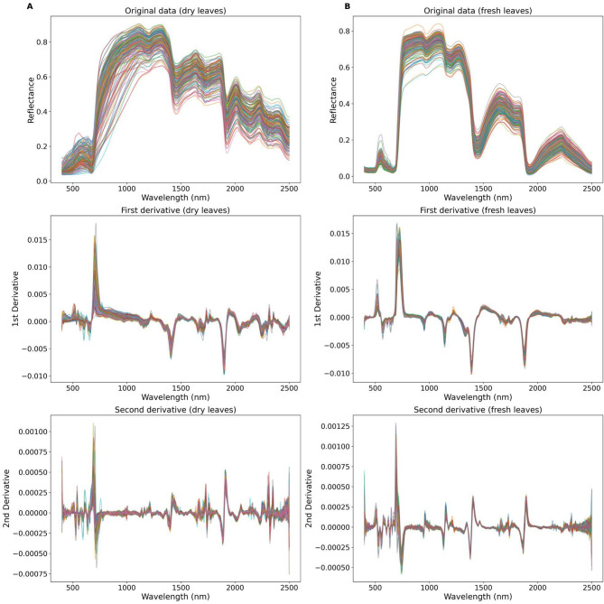 Leaf spectroscopy as a tool for predicting the presence of isoprene emissions and terpene storage in central Amazon forest trees.
