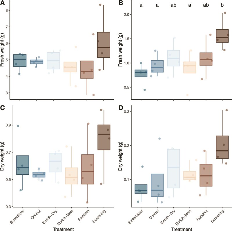 Potential mode of action of multispecies inoculums on wheat growth under water stress.