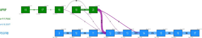 <i>MPRIP::PDGFRB</i> Fusion Gene: A Rare Case Report of Adult Myeloid/Lymphoid Neoplasm With Eosinophilia and Tyrosine Kinase Gene Fusions.