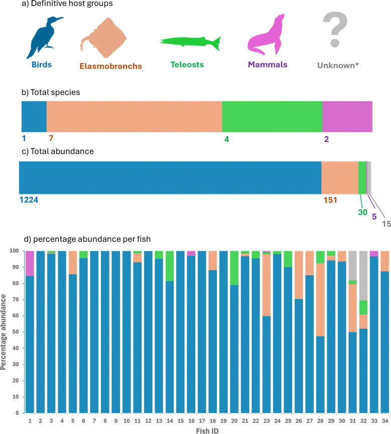 Unravelling hidden battles: Genetic insights into parasite diversity and competition in mottled triplefin (Forsterygion capito).