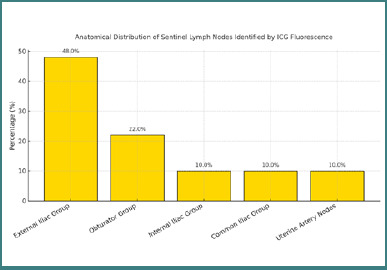 From guidelines to clinical practice: the impact of sentinel lymph node mapping on surgical management in endometrial cancer.