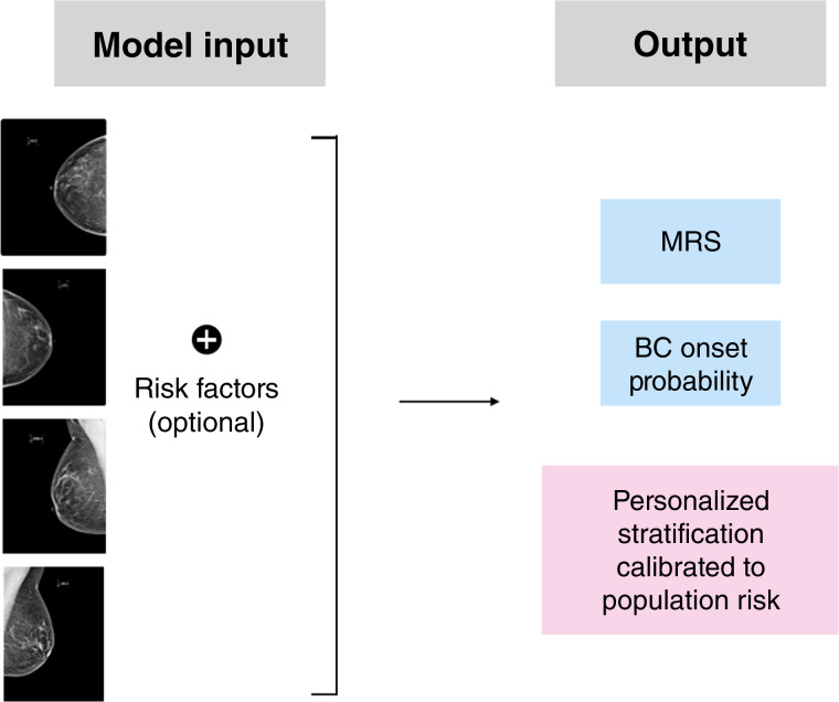Deriving a Mammogram-Based Risk Score from Screening Digital Breast Tomosynthesis for 5-Year Breast Cancer Risk Prediction.