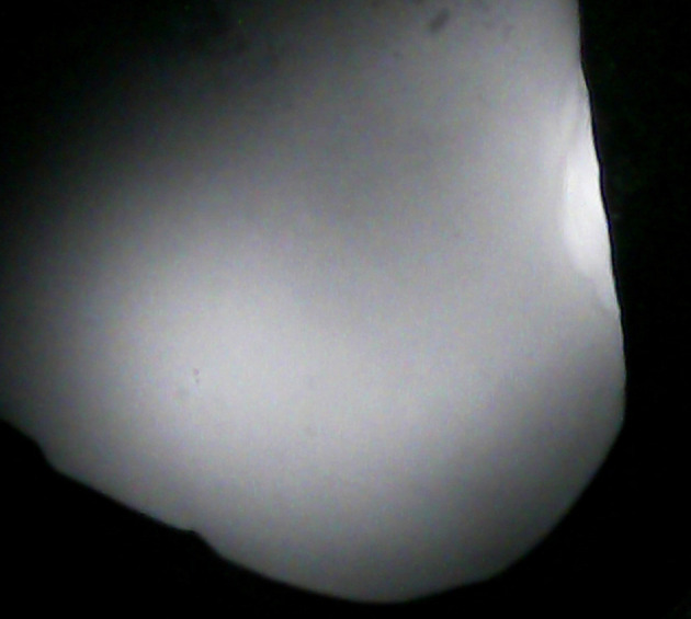 Abstract Image