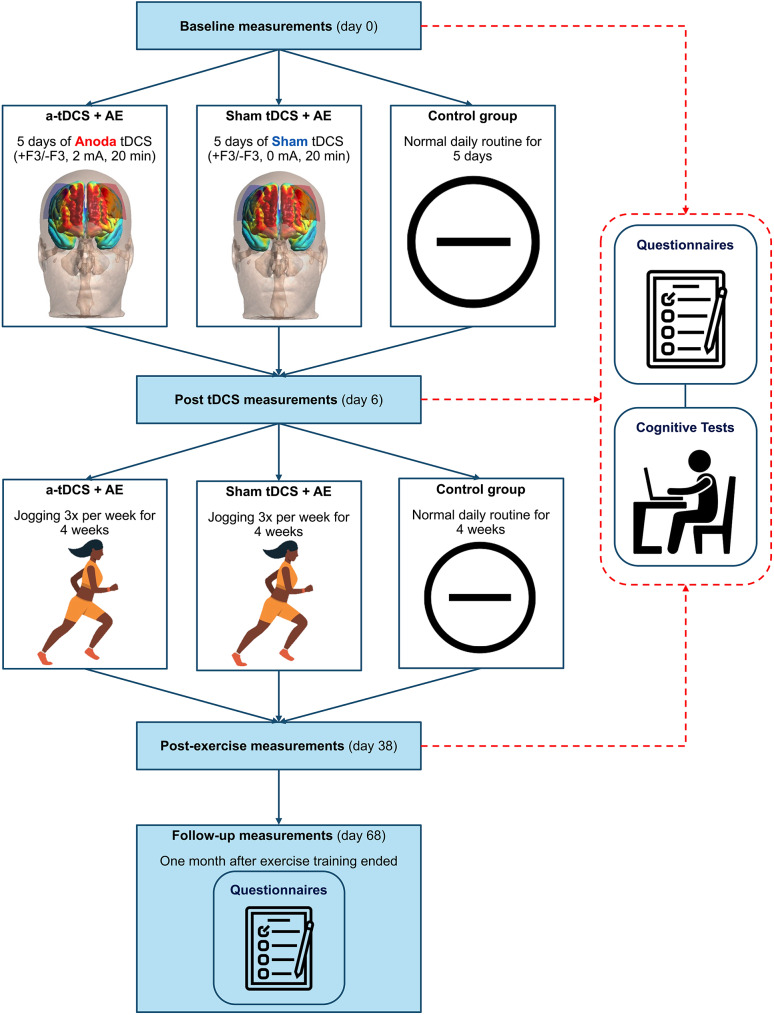 Multisession transcranial direct current stimulation and aerobic exercise synergistically improve food craving symptoms, impulsivity, and cognitive flexibility in women with overweight and obesity: a randomized controlled trial.