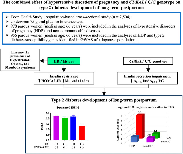 The influence of hypertensive disorders of pregnancy on the development of long-term postpartum type 2 diabetes mellitus.