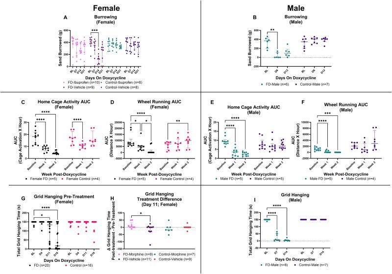 Pain in fibrous dysplasia: identifying nociceptive mechanisms in a preclinical model.