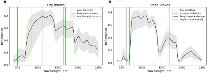 Leaf spectroscopy as a tool for predicting the presence of isoprene emissions and terpene storage in central Amazon forest trees.