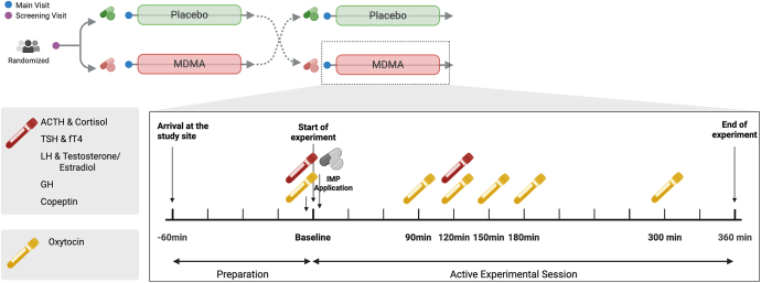The effect of MDMA on anterior pituitary hormones: a secondary analysis of a randomized placebo-controlled trial.