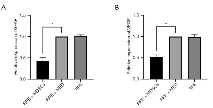 Effect of myeloid-derived suppressor cells on retinal epithelial cells in retinopathy of prematurity model.