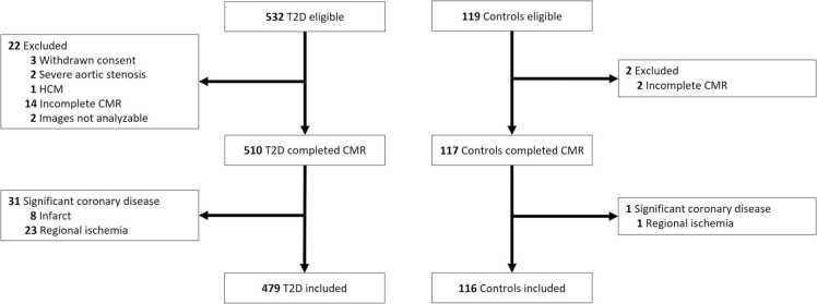 Sex differences and determinants of coronary microvascular function in asymptomatic adults with type 2 diabetes.