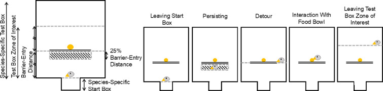 Do ecological valid stop signals aid detour performance? A comparison of four bird species.