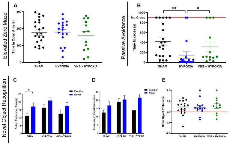 Vagus nerve stimulation ameliorates cognitive impairment caused by hypoxia.