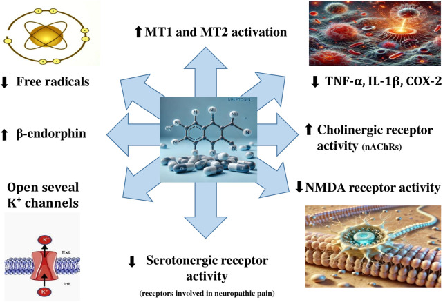 Widespread pain syndrome in long COVID-19: melatonin as an adjuvant treatment.