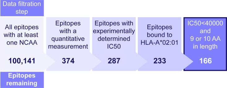 Machine learning application to predict binding affinity between peptide containing non-canonical amino acids and HLA-A0201.