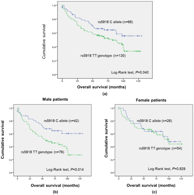 Genetic markers of thrombophilia as predictors of outcome in colorectal cancer.