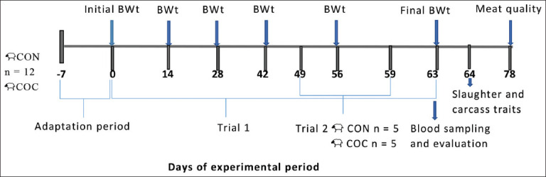 Effects of coconut meal inclusion on growth performance, nutrient utilization, carcass characteristics, and meat quality in Awassi Lambs.