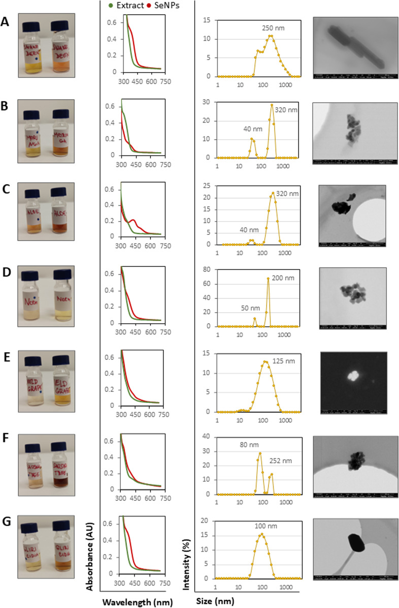 Antioxidant properties and antimicrobial activity of selenium nanoparticles synthetized via Zambian medicinal herbs.