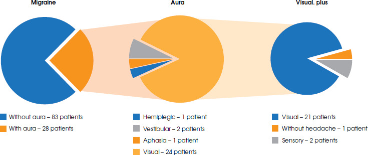 Characterization of migraine aura: a study of a population at a single Polish headache treatment centre.