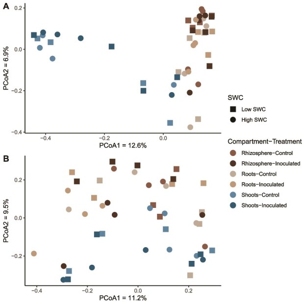 Potential mode of action of multispecies inoculums on wheat growth under water stress.