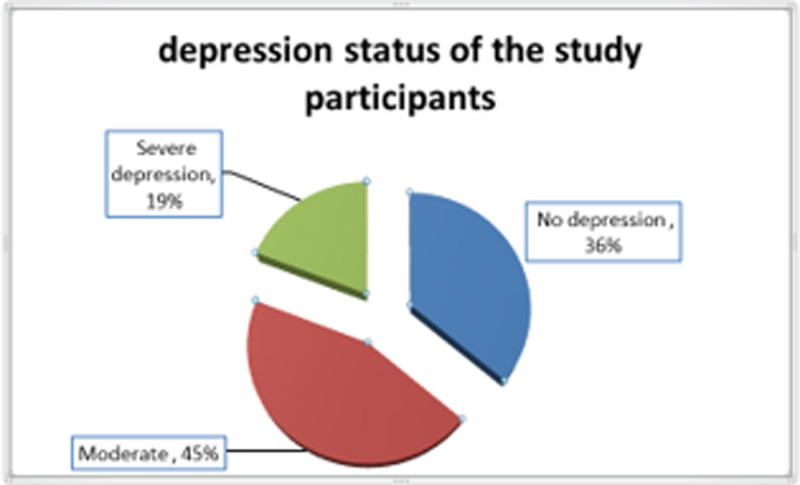 Gestational weight gain and its determinants among pregnant women attending antenatal care at West Shawa Hospitals, Oromia, Ethiopia.