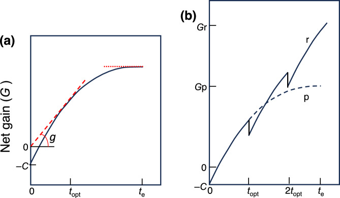 Leaf economics of deciduous and evergreen plants: how do they exhibit trait optimization under resource variations and environmental constraints.
