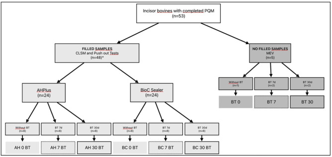 Bioceramic dressing and its influence on intratubular penetration and bond strength of endodontic sealers.