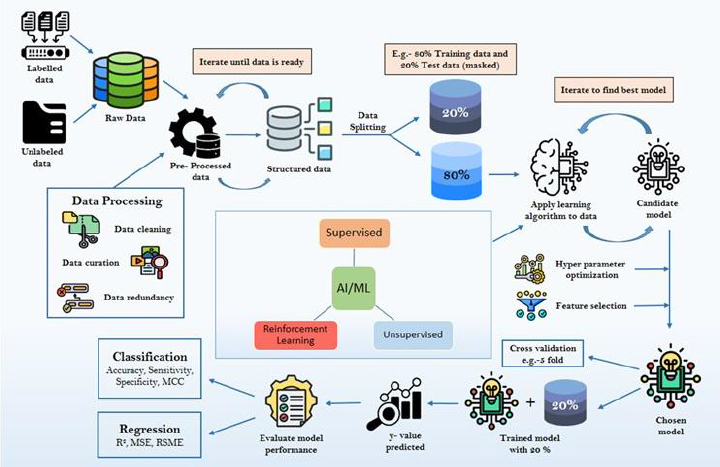 Leveraging machine learning models in evaluating ADMET properties for drug discovery and development.