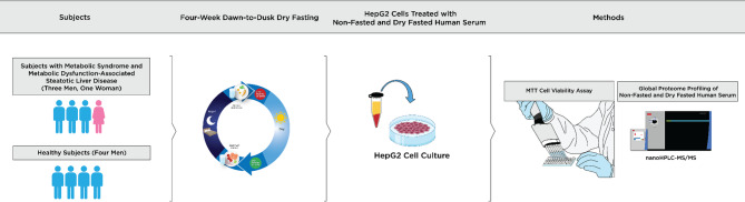 Decreased proliferation of HepG2 liver cancer cells in vitro and exhibited proteomic changes in vivo in subjects with metabolic syndrome and metabolic dysfunction-associated steatotic liver disease who performed four-week dawn-to-dusk dry fasting.