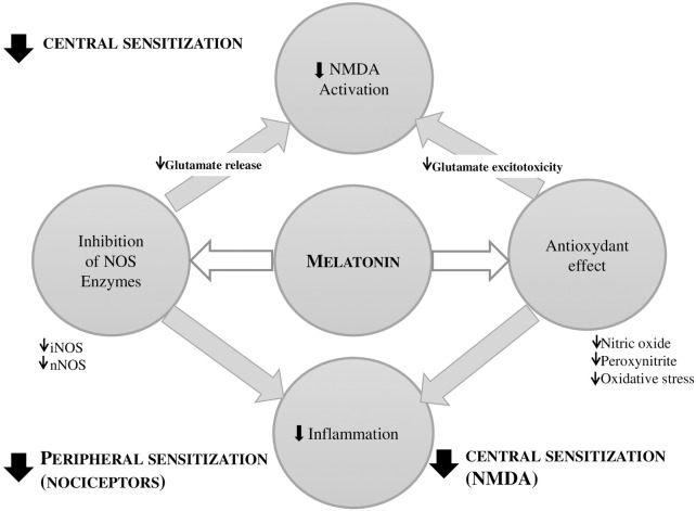 Widespread pain syndrome in long COVID-19: melatonin as an adjuvant treatment.