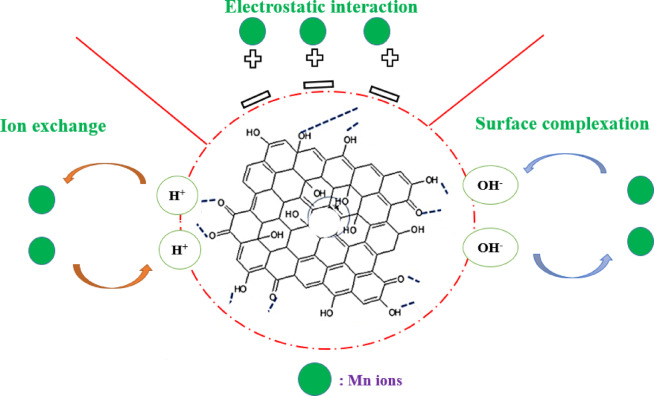 Enhanced manganese ion removal from aqueous solution using graphene oxide nanocollector in ion flotation: mechanism, efficiency, and recyclability.