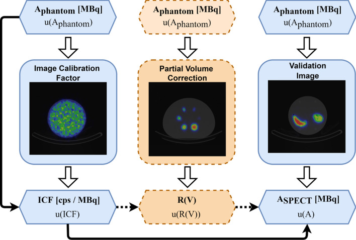 Establishing measurement traceability for quantitative SPECT imaging.