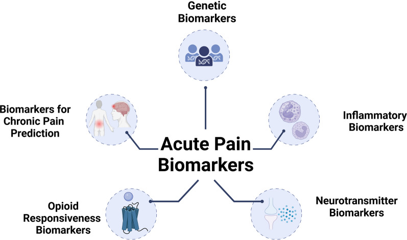 The Role of Biomarkers in Acute Pain: A Narrative Review.