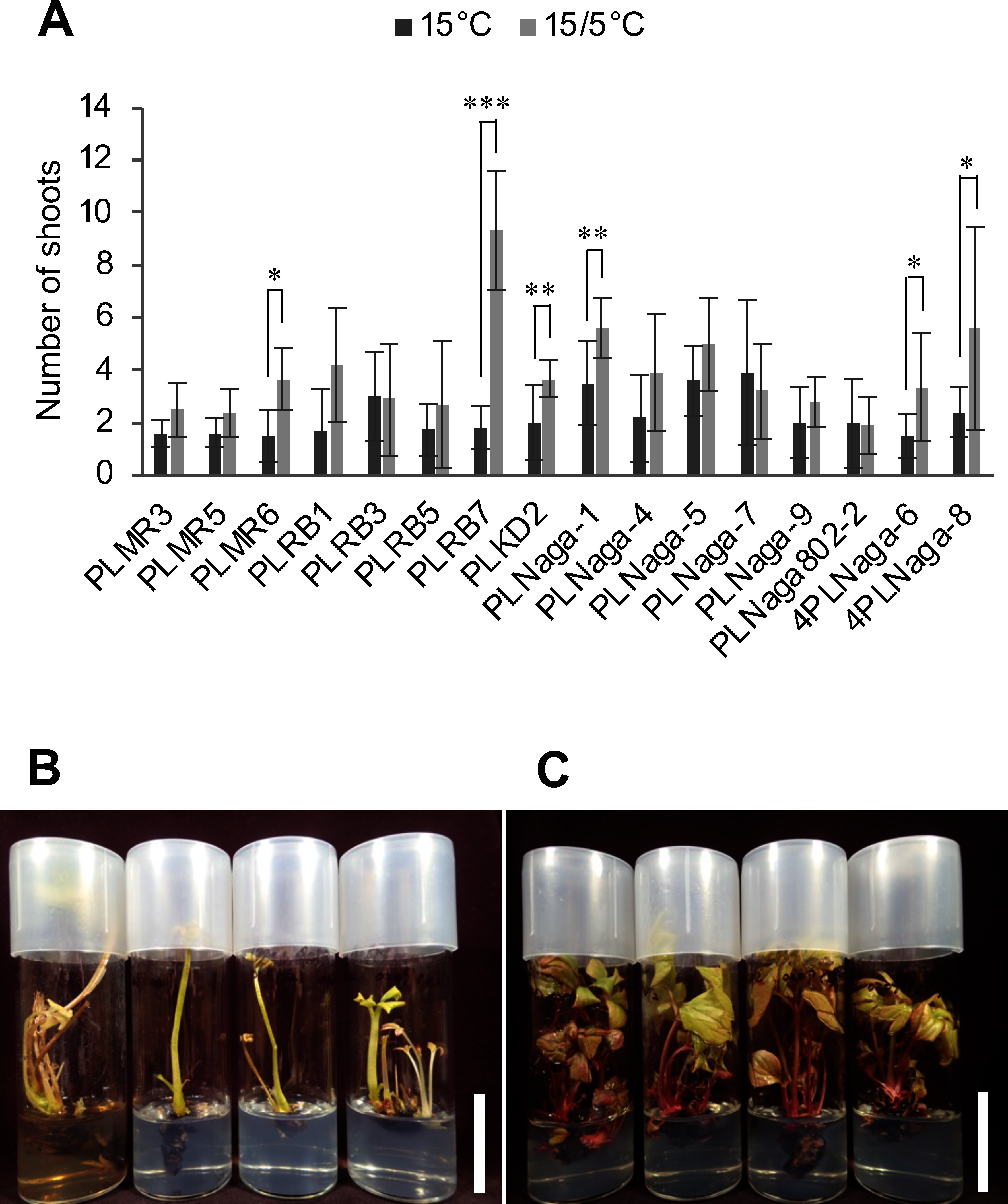 Improvement of culture and acclimation conditions in a bio-nursery system for <i>Paeonia lactiflora</i>.