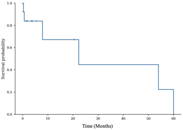 Immunohistochemical evaluation of cyclooxygenase-2 expression in feline nasal malignant epithelial tumours.