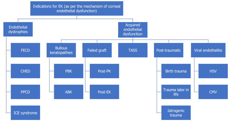 Current concepts and recent trends in endothelial keratoplasty.