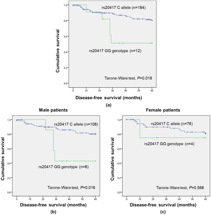 Genetic markers of thrombophilia as predictors of outcome in colorectal cancer.