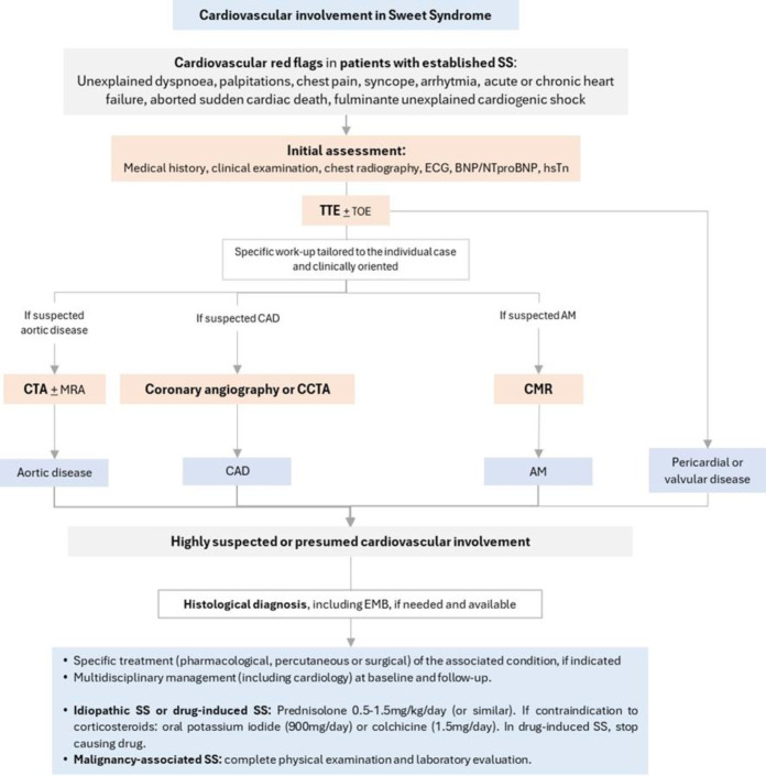 Cardiovascular involvement in Sweet's syndrome: A practical review.
