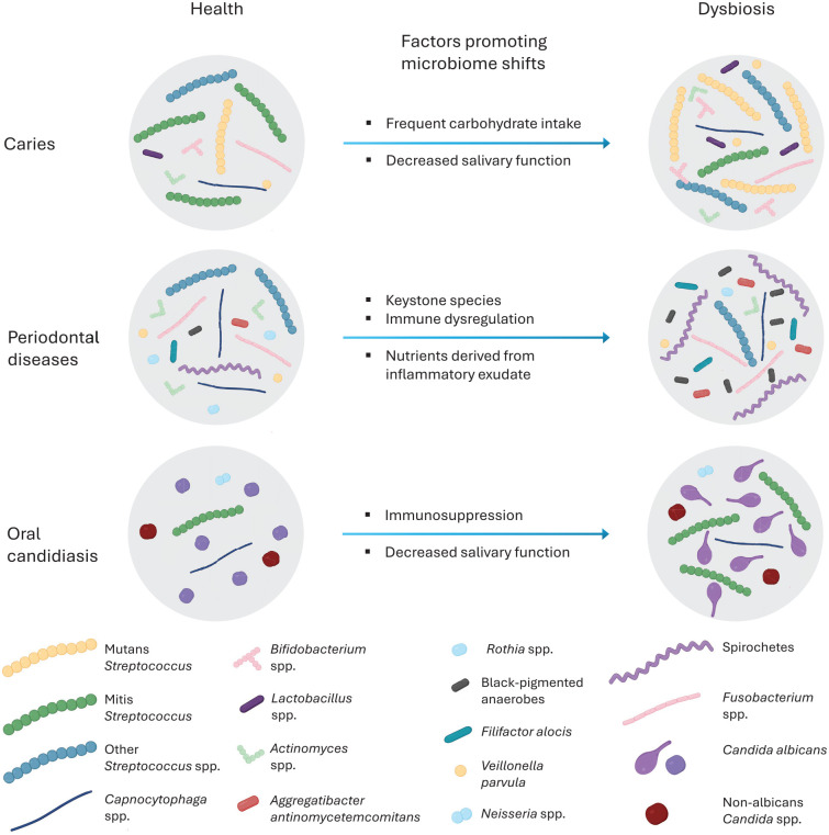 Novel Approaches for Treatment of Intraoral Microbial Infections.
