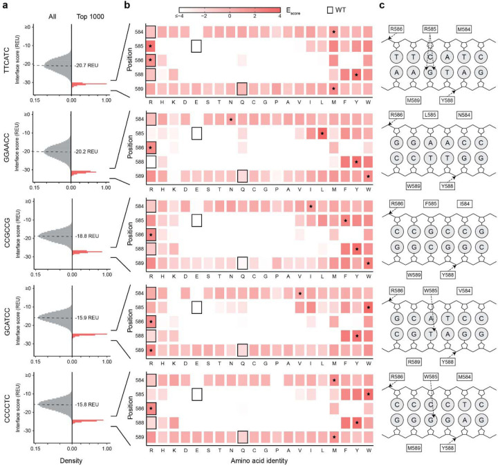 Computation-guided redesign of promoter specificity of a bacterial RNA polymerase.