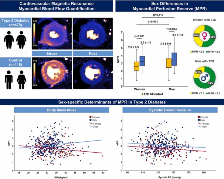 Sex differences and determinants of coronary microvascular function in asymptomatic adults with type 2 diabetes.