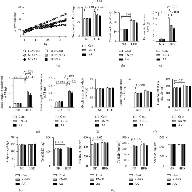 Calcium/Calmodulin-Dependent Protein Kinase II Inhibitors Mitigate High-Fat Diet-Induced Obesity in Mice.