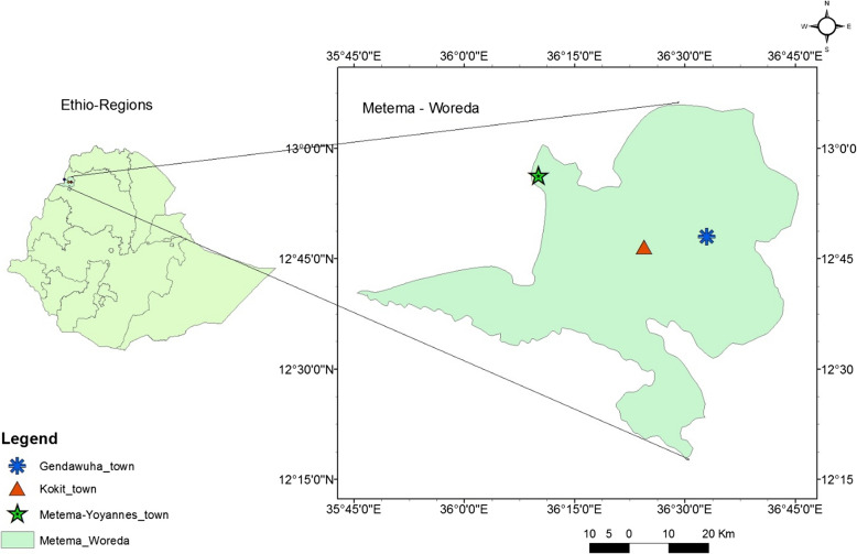 Physical and chemical characteristics of Aedes larval habitats in Metema District, Northwest, Ethiopia.