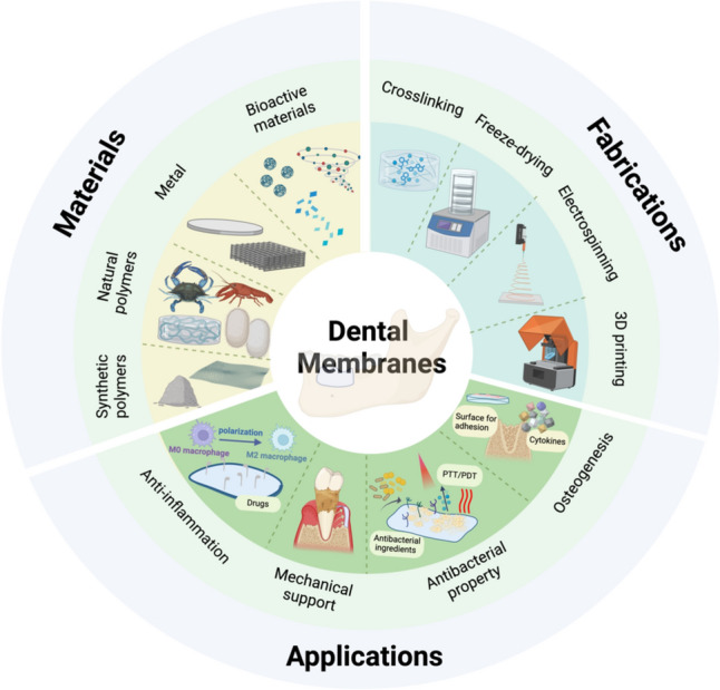 Implantable Dental Barrier Membranes as Regenerative Medicine in Dentistry: A Comprehensive Review.