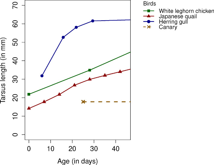 Do ecological valid stop signals aid detour performance? A comparison of four bird species.
