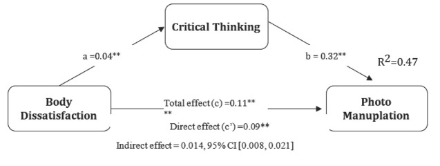 "Too Good to be True": An Explorative Study of Photo Manipulation, Body Image Dissatisfaction and Critical Thinking.