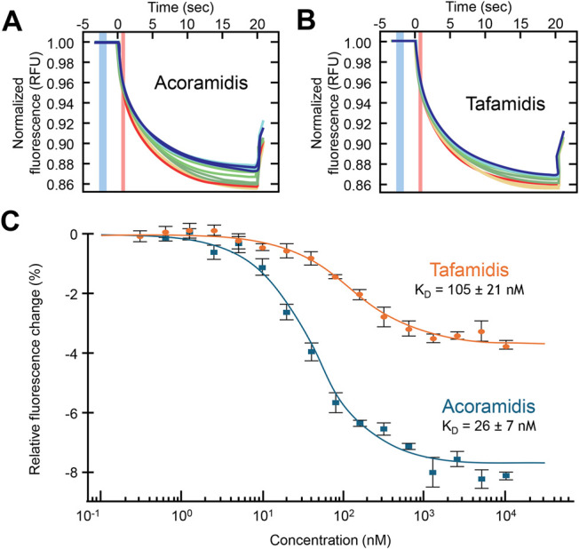 Differential Binding Affinities and Kinetics of Transthyretin Stabilizers.